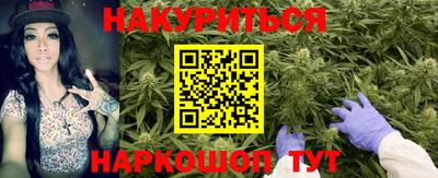 мяу мяу мука Будённовск