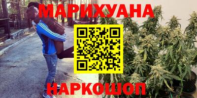 мяу мяу мука Будённовск