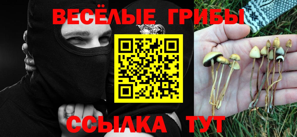 Сатка  Галлюциногенные грибы прущие грибы  Вход с VPN 